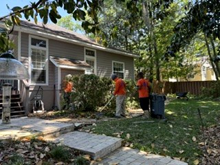 Lawn maintenance service